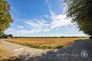 Property thumbnail 28