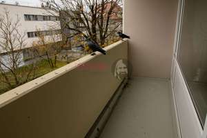 Bezugfreies 1 Zimmer Apartment mit Balkon und Tfg / Auch als Kapitalanlage nutzbar. – 81241 Am Westbad, München – Vorschaubild 6