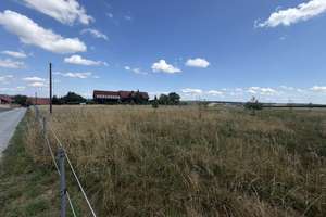 Mamming! Hofstelle mit mehreren Wohneinheiten - Pferdehof (260727) – 94437 Mamming – Vorschaubild 2
