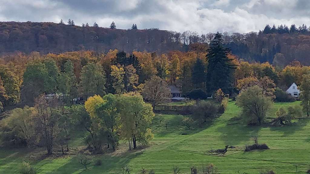 Immobilie in Niedernhausen - Geräumiges Einfamilienhaus mit Einliegerwohnung mit Traumblick in Niedernhausen-Engenhahn - Bild 4
