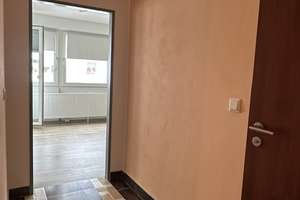Innenstadt - 1-Zimmer Wohnung: kompakt, gepflegt und perfekt angebunden – Rothenfelder  Straße 6, 38440 Rothenfelde, Wolfsburg – Vorschaubild 7