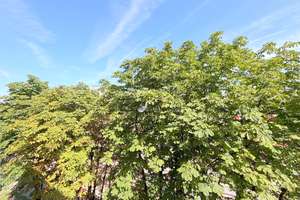 Urban wohnen in München – stilvolle 2-Zi.-Wohnung mit Süd-Balkon nahe Hackerbrücke – Die vollständige Adresse der Immobilie erhältst du vom Anbieter., 80339 Sankt Paul, München – Vorschaubild 19