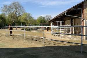 Reitanlage mit 60er Halle auf 5 ha zu verkaufen – Die vollständige Adresse der Immobilie erhältst du vom Anbieter., 59065 Mitte, Hamm – Vorschaubild 17