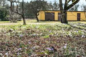 Zweifamilienhaus mit großzügigem Grundstück in Nennhausen – Havelland (Kreis) – Vorschaubild 24