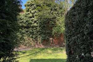 Stilvoll saniertes Mehrfamilienhaus mit Vorgarten in Zentrumslage – Die vollständige Adresse der Immobilie erhältst du vom Anbieter., 4129 Eutritzsch, Leipzig – Vorschaubild 19