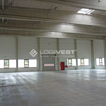 Neubau in Zentrumsnähe! 1.500m² Lager-/Produktionsfläche