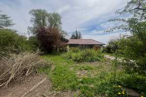 PARKGRUNDSTÜCK mit alter Villa in unwiderstehlicher, unverbaubarer Südlage – Ostallgäu (Kreis) – Vorschaubild 9