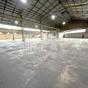 LAGERHALLE | RAMPE & EBENERDIG | OPTIMALE LAGE