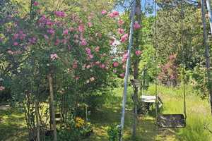 Zweifamilienhaus in Bestlage von Hohen Neuendorf – Großzügiges Grundstück, vielseitig nutzbar – Rosa-Luxemburg-Str. 35, 16540 Oberhavel (Kreis) – Vorschaubild 3