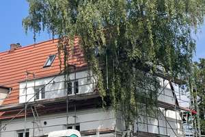 Frisch sanierte Doppelhaushälfte mit Garten, 6 Zimmern & Top-Anbindung – Brühlervorstadt – Die vollständige Adresse der Immobilie erhältst du vom Anbieter., 99092 Brühlervorstadt, Erfurt – Vorschaubild 2
