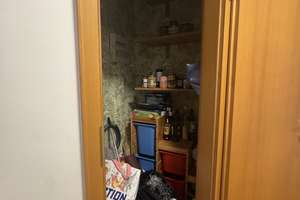 Lebendiger Alltag: 3-Zimmer-Wohnung in Düsseldorf-Ludenberg – 40629 Ludenberg, Düsseldorf – Vorschaubild 9