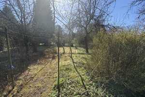 Doppelhaushälfte mit großem Garten – Stormarn (Kreis) – Vorschaubild 10