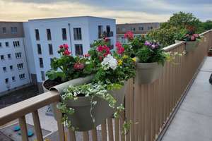 Property thumbnail 25