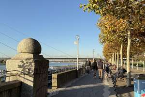 *OFFENE BESICHTIGUNG AM 22.02. UM 12 UHR* EIN PURZELBAUM ZUM RHEIN - Hübsche Altbauwohnung in ruhige