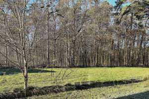Repräsentative Stadtvilla mit unverbaubarem Blick in die Natur – Die vollständige Adresse der Immobilie erhältst du vom Anbieter., 91353 Hausen – Vorschaubild 16
