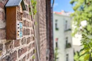 Property thumbnail 4