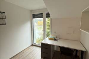 Neues Studentenapartment  Kapu 71