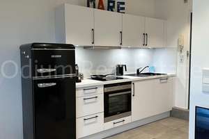 Über den Dächern Mannheims - charmantes 1-Zimmer-Apartment mit traumhafter Dachterrasse – 68165 Schwetzingerstadt/Oststadt, Mannheim – Vorschaubild 3