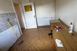 BENIT | ❗️RIESIGES POTENTIAL 1-2-Fam. Haus mit großem FILETGRUNDSTÜCK zum TOP Preis | Wunstorf Luthe – Hannover (Kreis) – Vorschaubild 25