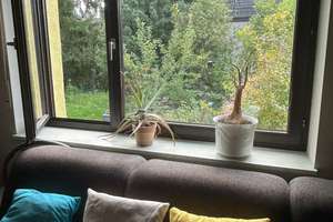 Charmantes Einfamilienhaus mit 50 qm Doppelgarage (Werkstatt?) in Aachen-Oberforstbach ohne Makler – Die vollständige Adresse der Immobilie erhältst du vom Anbieter., 52076 Oberforstbach, Aachen – Vorschaubild 10