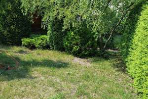 Property thumbnail 18