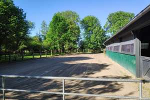 Ideal für Pferdehalter! Pferdehof mit Pferdeboxen, Reitplatz und gr. Lagerhalle – Die vollständige Adresse der Immobilie erhältst du vom Anbieter., 26532 Großheide – Vorschaubild 12