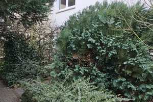 Von Privat: Schönes 5-Zimmer-Haus in 65824, Schwalbach – Main-Taunus-Kreis – Vorschaubild 7