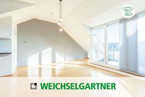 Lichtdurchflutete Dachgeschosswohnung mit sonniger Dachterrasse