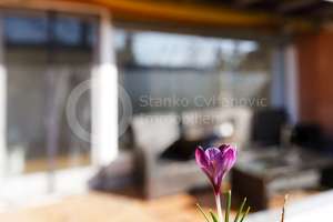 LAIM - Freundliches und komplett möbliertes Appartement mit sonniger Süd-West Terrasse