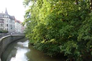 Property thumbnail 21