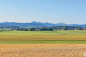 Freistehendes Niedrigenergie EFH mit idyllischem Garten! – Die vollständige Adresse der Immobilie erhältst du vom Anbieter., 83624 Otterfing – Vorschaubild 14