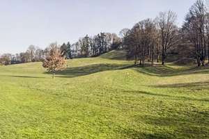 Top-Lage am Luitpoldpark – Attraktiver Kaufpreis dank ERBPACHT – Die vollständige Adresse der Immobilie erhältst du vom Anbieter., 80809 Am Luitpoldpark, München – Vorschaubild 16