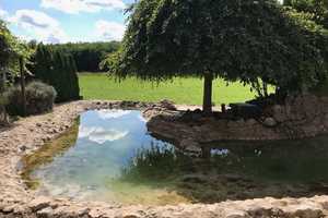 Luxuriöses Mehrfamilien-Landhaus - 355 m², 3 WE´s, umfangreich modernisiert, Schwimmteich! – Bamberg (Kreis) – Vorschaubild 2