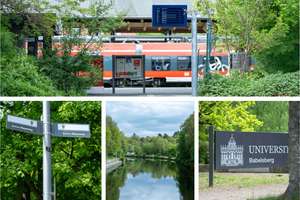 Großzügiger Altbau in Potsdam Babelsberg – 3-Zimmer-Wohnung nahe S-Bahnhof und Campus Griebnitzsee – 14482 Babelsberg Süd, Potsdam – Vorschaubild 15