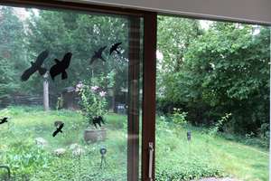 Einfamilienhaus mit Garten am Stadtwald – Am Laubberg x , 38518 Gifhorn – Vorschaubild 1