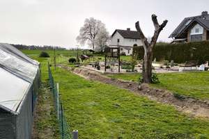 Rohdiamant auf dem Land | Wir haben angefangen | Sie machen es fertig | Pferdehaltung möglich | – Sternbergstr. 9, 36166 Haunetal – Vorschaubild 19