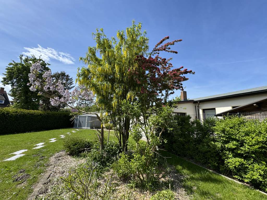 Immobilie in Lambrechtshagen - Geräumiges Einfamilienhaus mit 5 Zimmern in Rostock-Reutershagen - Bild 4