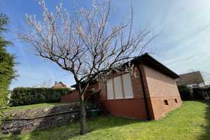 Ruhig gelegener, freistehender Bungalow mit großem Grundstück in Ober-Hilbersheim – Mainz-Bingen (Kreis) – Vorschaubild 3