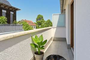 Property thumbnail 226