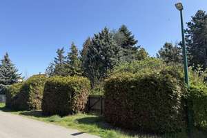 Gestalte, was dir wirklich gefällt – Haus mit großem Garten in Leipzig-Portitz – Lermastraße 15, 4349 Plaußig-Portitz, Leipzig – Vorschaubild 2