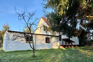 Braunschweig: 1-2-Familienhaus in perfekter Lage – Die vollständige Adresse der Immobilie erhältst du vom Anbieter., 38108 Volkmarode, Braunschweig – Vorschaubild 4