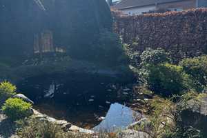 Ruhig gelegenes und gepflegtes Einfamilienhaus in Schleckheim mit Potential! – Aachen – Vorschaubild 27