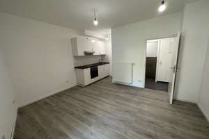 Moderne, sanierte Wohnung + Einbauküche + Terrasse + Garten in 53227 Bonn-Beuel