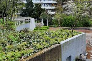 Helles 1 Zimmer Apartment mit Balkon und Einbauküche – Peter-Schwingen-Straße 4, 53177 Muffendorf, Bonn – Vorschaubild 17