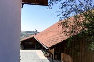 Bauernhaus, Scheune, Zweifamilienhaus, Hundezucht erlaubt  – Die vollständige Adresse der Immobilie erhältst du vom Anbieter., 94374 Schwarzach – Vorschaubild 5