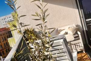 Property thumbnail 14