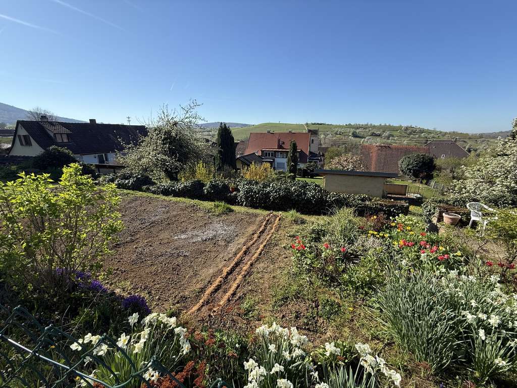 Immobilie in Müllheim - Ehemaliger Bauernhof mit viel Ausbaupotenzial!
Winzerkeller, Garten, traumhafter Innenhof.... - Bild 0