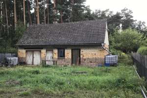 Idyllische & ruhige Lage direkt am Wald – Die vollständige Adresse der Immobilie erhältst du vom Anbieter., 3246 Crinitz – Vorschaubild 12