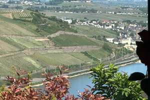 RESERVIERT! Familienfreundliches Domizil in bester Lage mit Rheinblick und separatem Appartement – Die vollständige Adresse der Immobilie erhältst du vom Anbieter., 55411 Bingen am Rhein – Vorschaubild 6