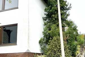 Offen und lichtdurchflutet – Ihr Traumhaus in Zweibrücken – Zweibrücken – Vorschaubild 25